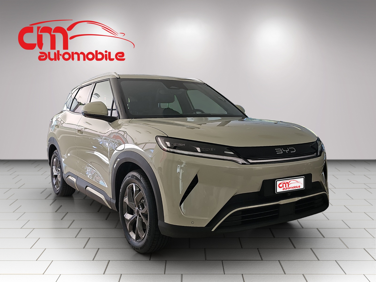 BYD Atto2 64 kWh Comfort-showroom-element-3