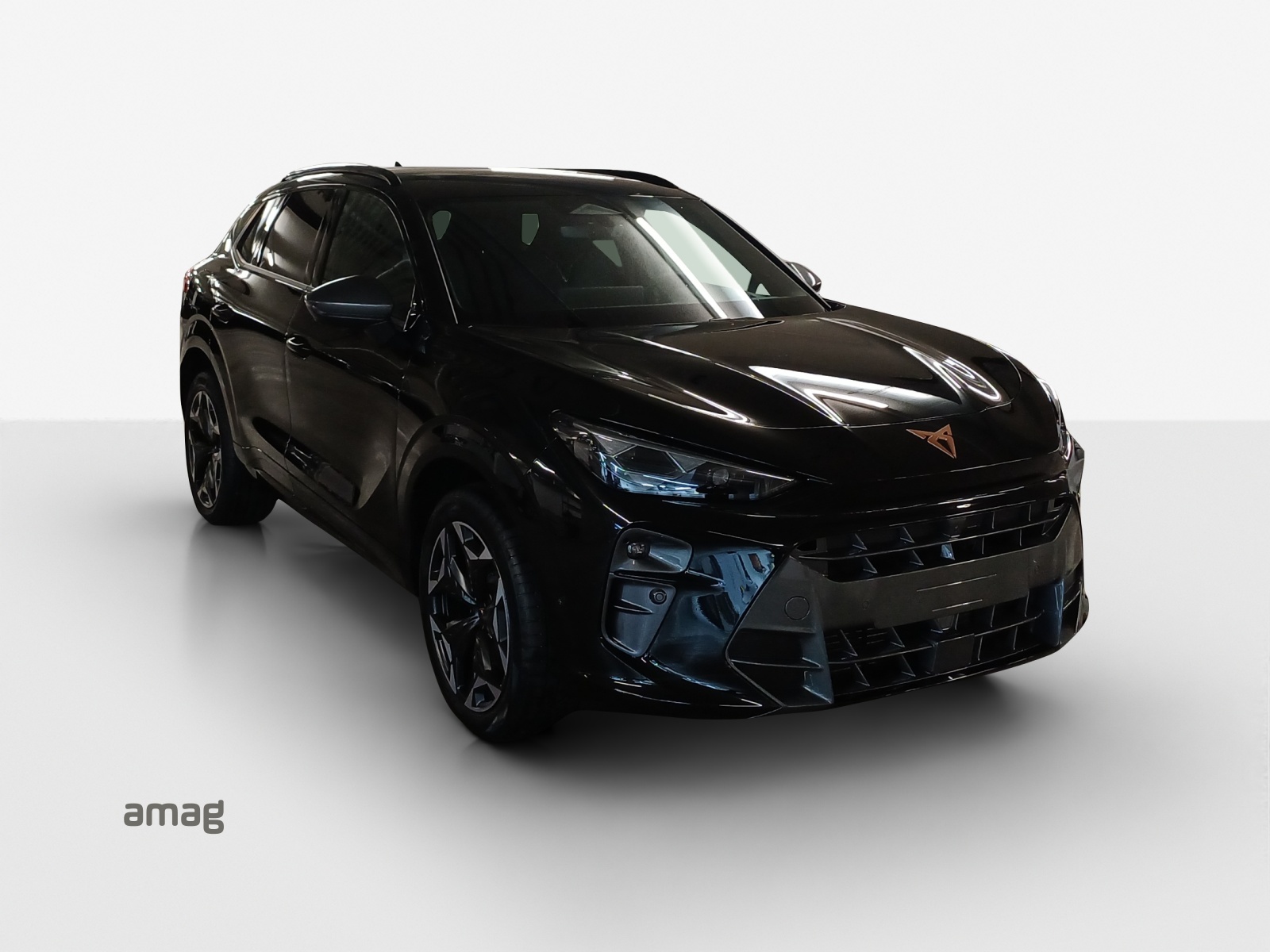 CUPRA Terramar 2.0 TSI DSG 4Drive VZ-image-5