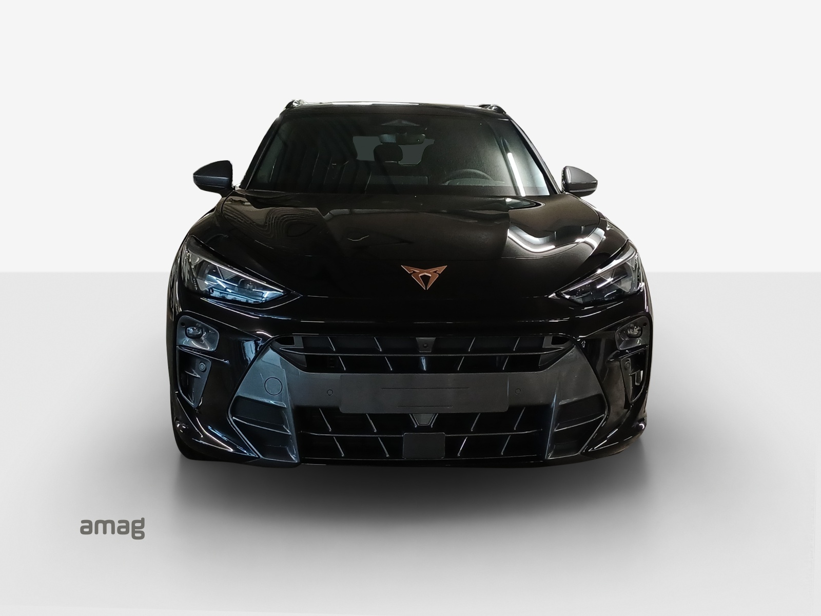 CUPRA Terramar 2.0 TSI DSG 4Drive VZ-image-6