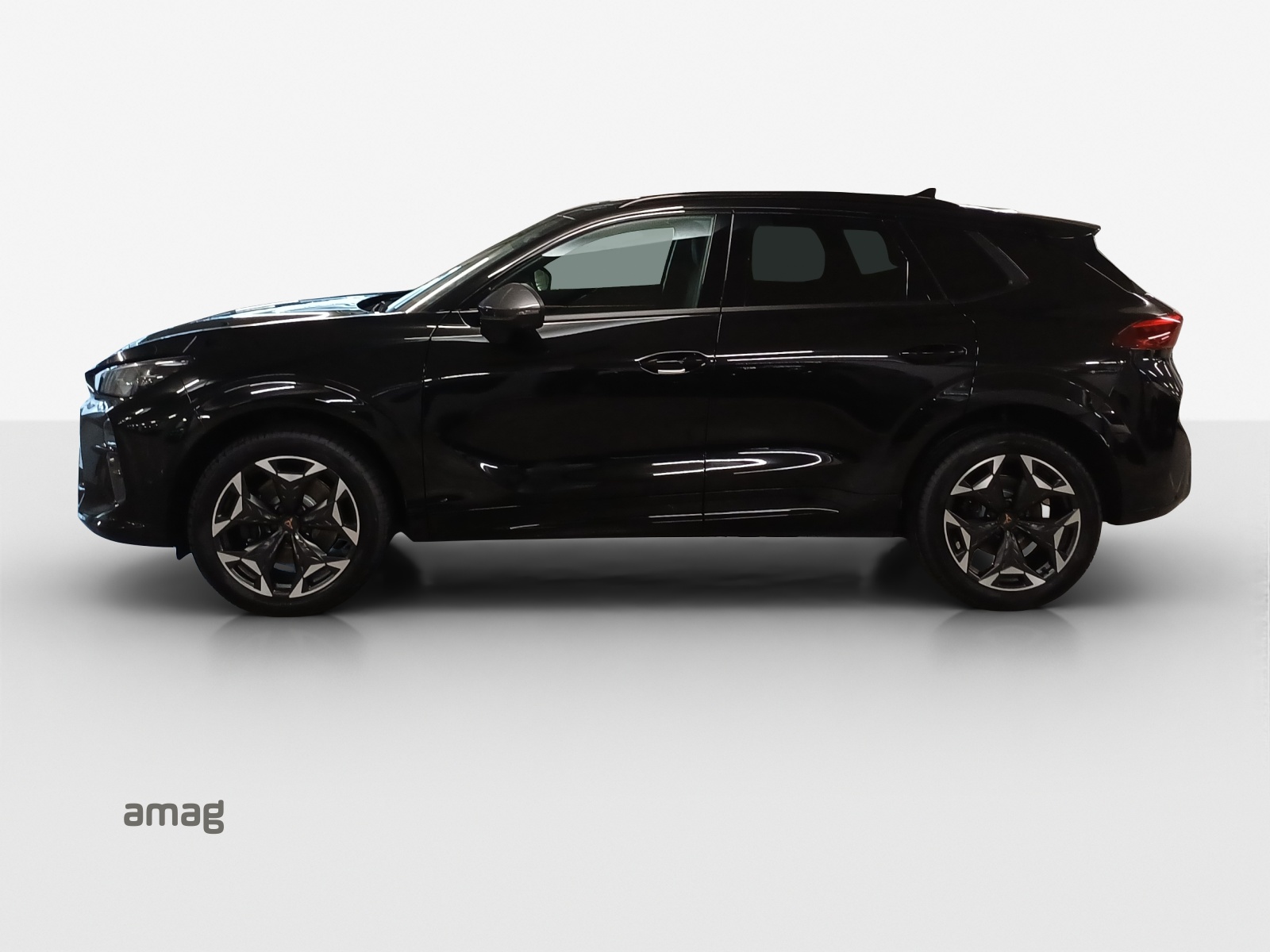 CUPRA Terramar 2.0 TSI DSG 4Drive VZ-showroom-element-1