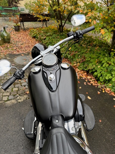 HARLEY-DAVIDSON FLS Softail Slim ABS-image-3