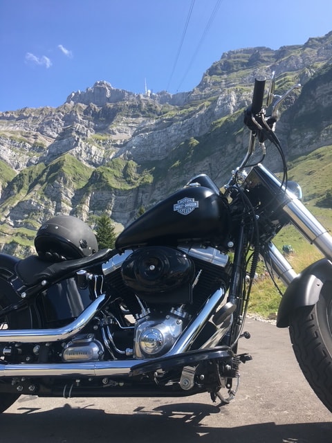 HARLEY-DAVIDSON FLS Softail Slim ABS-image-0