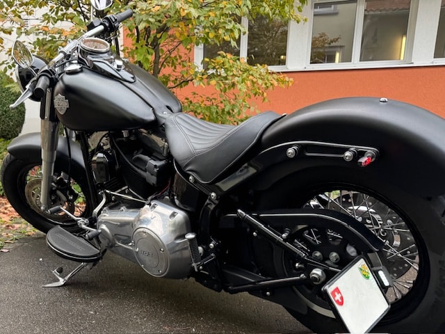 HARLEY-DAVIDSON FLS Softail Slim ABS-image-4