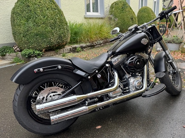 HARLEY-DAVIDSON FLS Softail Slim ABS-image-1