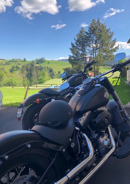 HARLEY-DAVIDSON FLS Softail Slim ABS-image-5