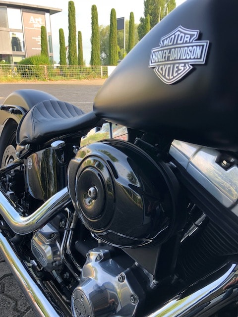 HARLEY-DAVIDSON FLS Softail Slim ABS-image-2