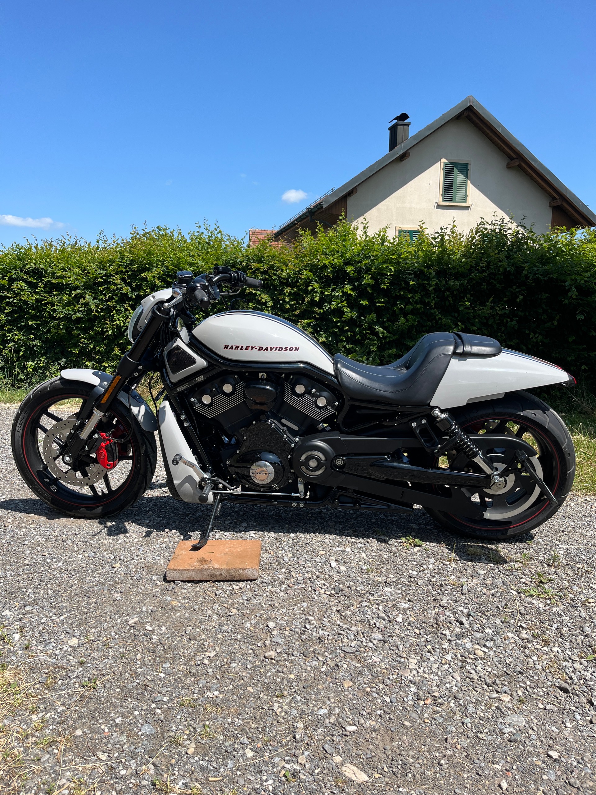HARLEY-DAVIDSON VRSCDX Night Rod Special ABS-image-1