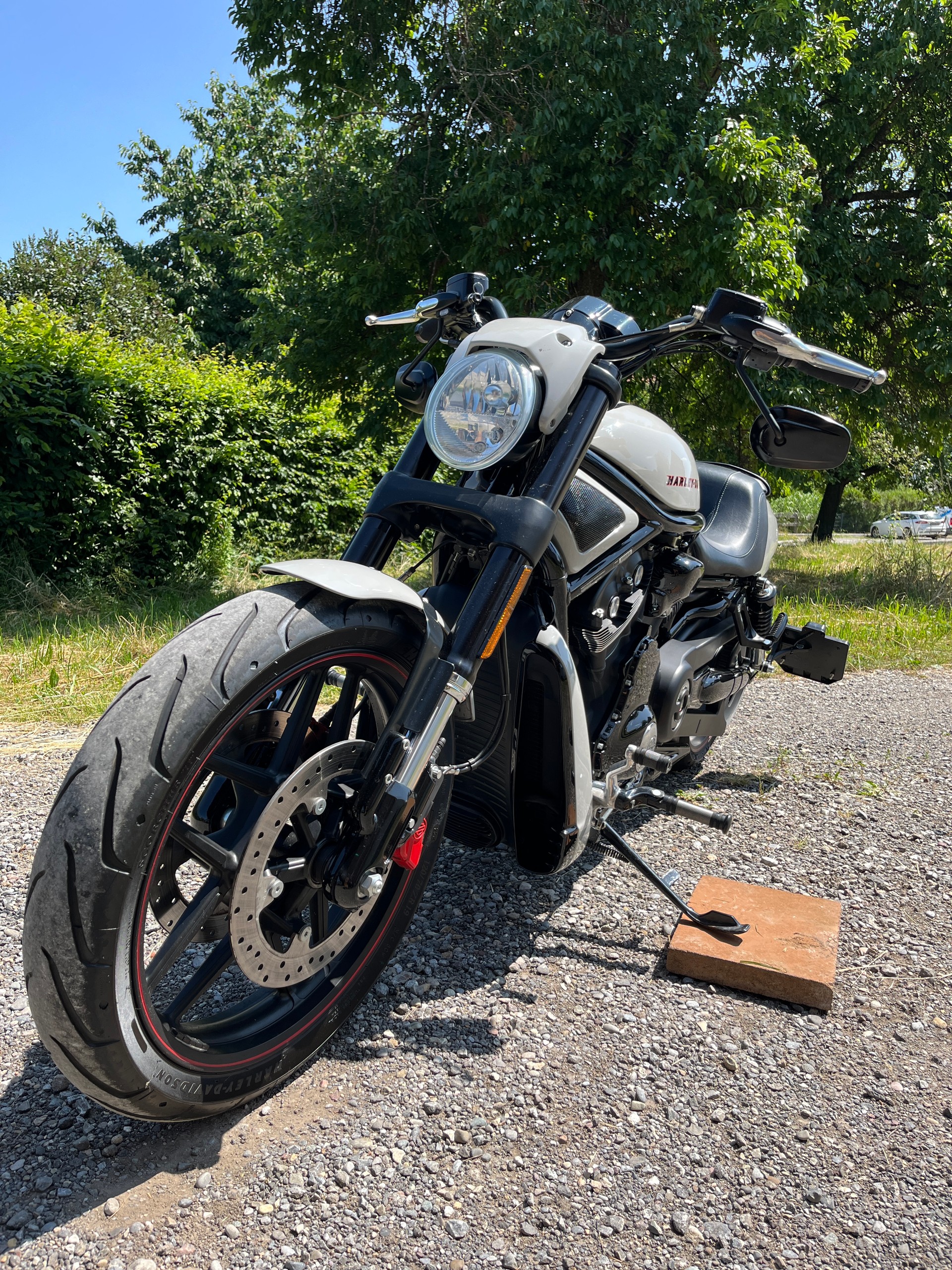 HARLEY-DAVIDSON VRSCDX Night Rod Special ABS-image-3