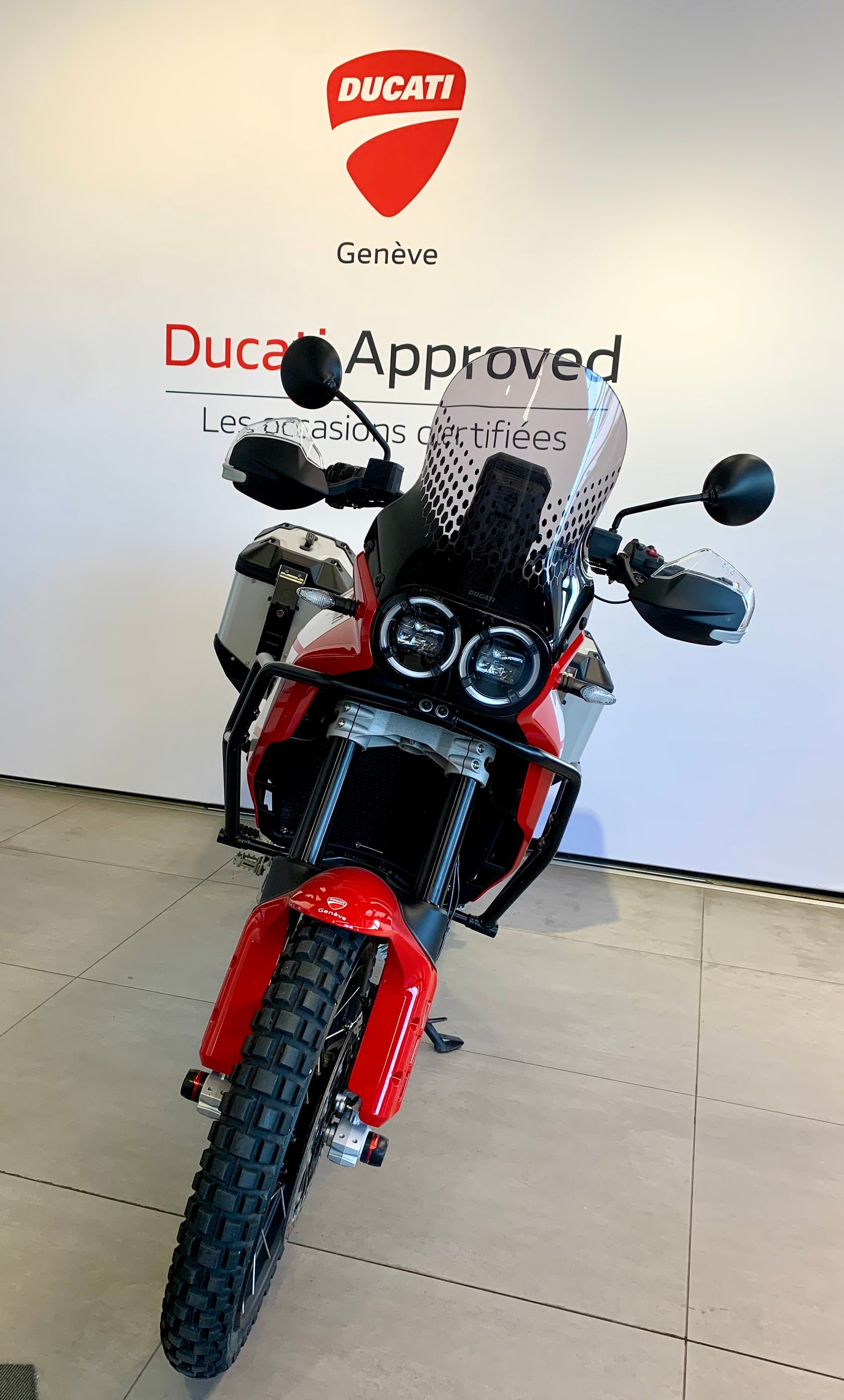 DUCATI Desert X Discovery-image-2
