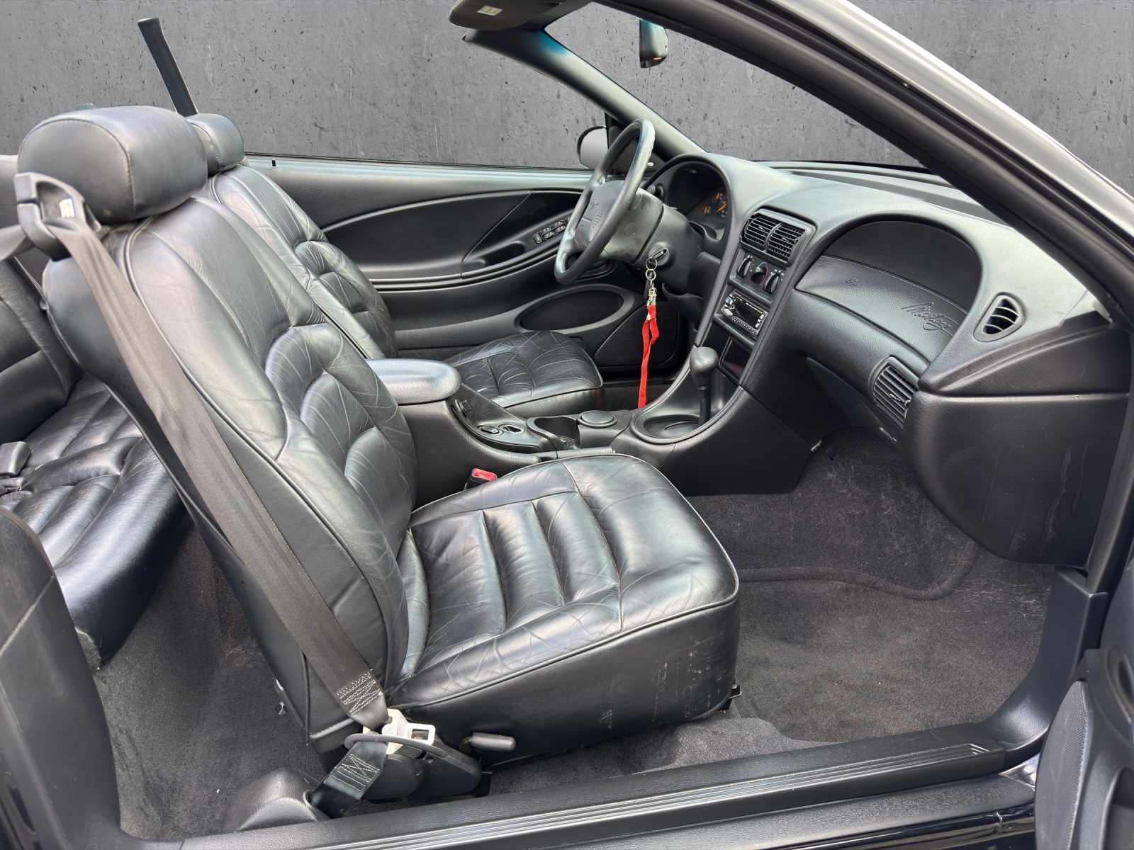 FORD MUSTANG-image-12