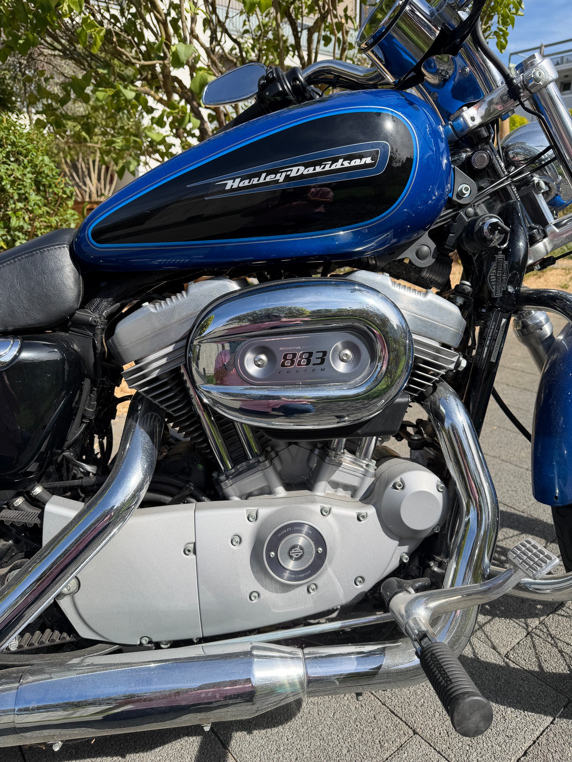 HARLEY-DAVIDSON XL 883 C Sportster Custom Injection-image-2