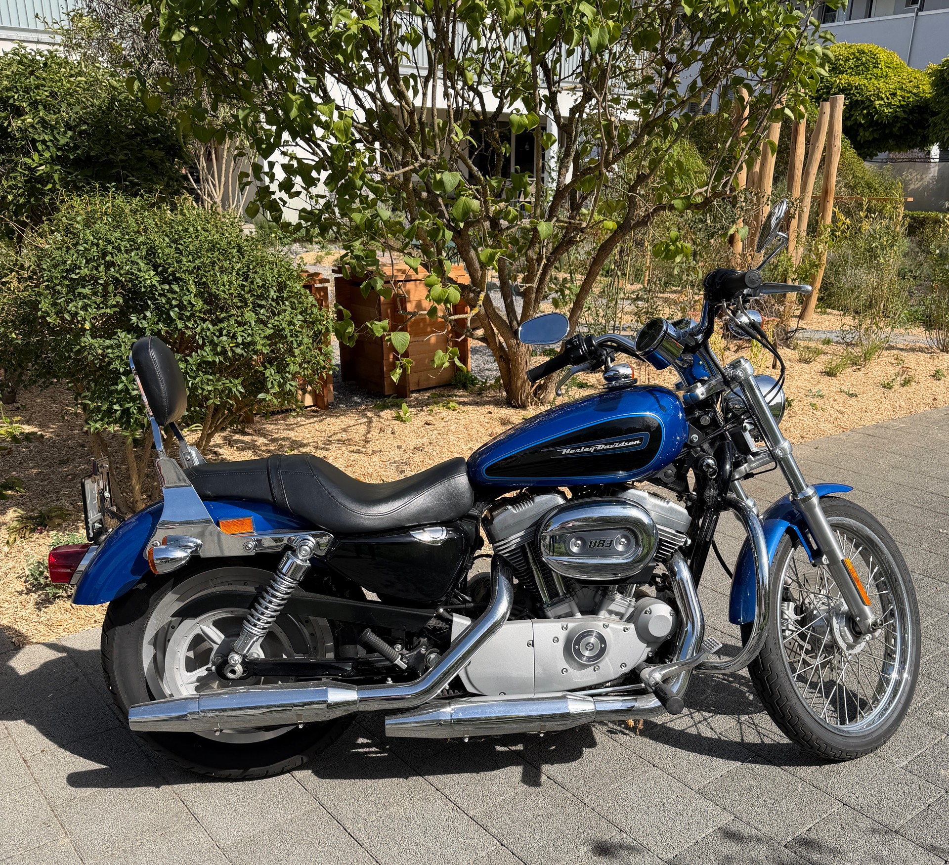 HARLEY-DAVIDSON XL 883 C Sportster Custom Injection-image-0