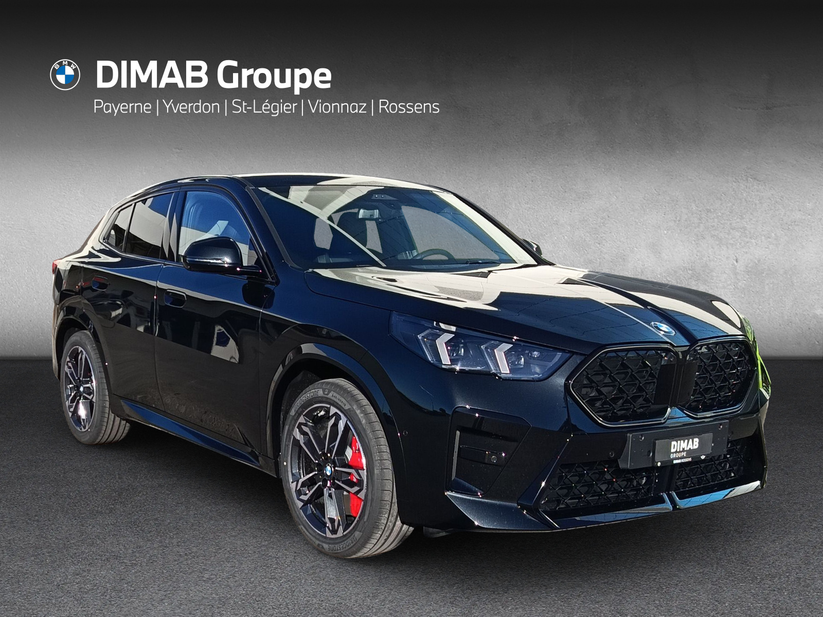 BMW X2 sDrive 20i 48V M Sport Pro-image-6