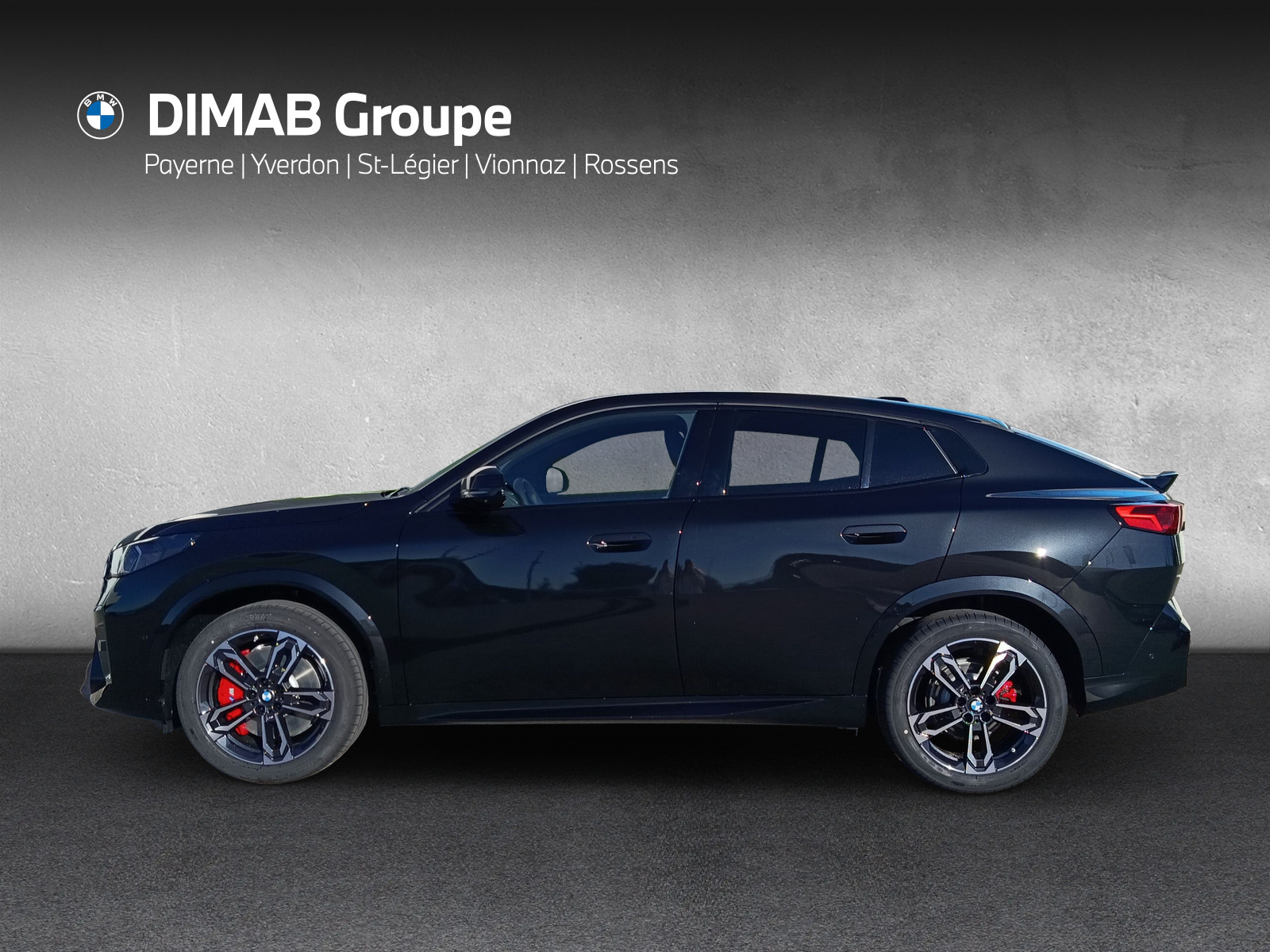 BMW X2 sDrive 20i 48V M Sport Pro-showroom-element-1