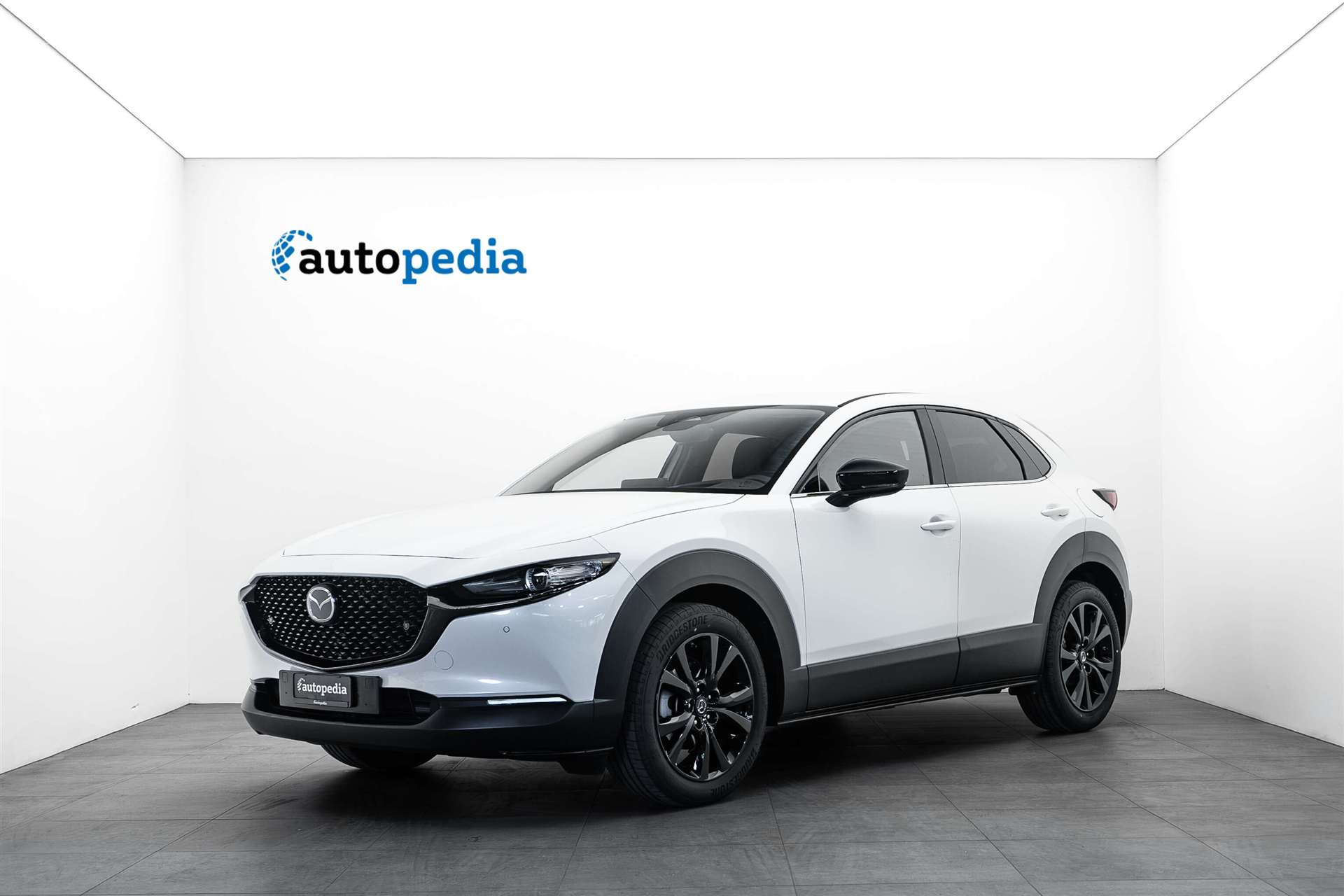MAZDA MAZDA CX-30 SKYACTIV-G 140 MHEV Nagisa Automat