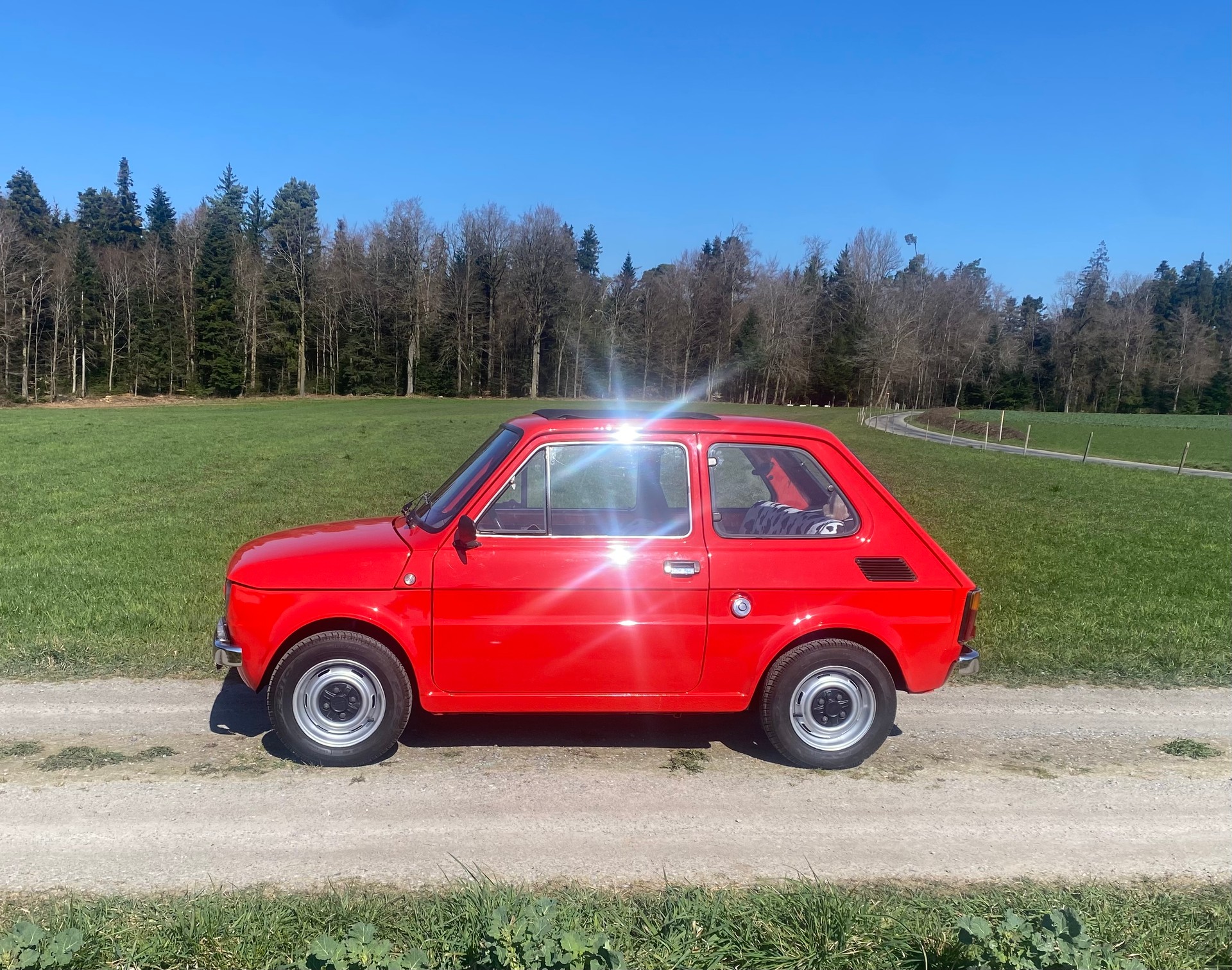 FIAT 126 Bambino, Veteran geprüft