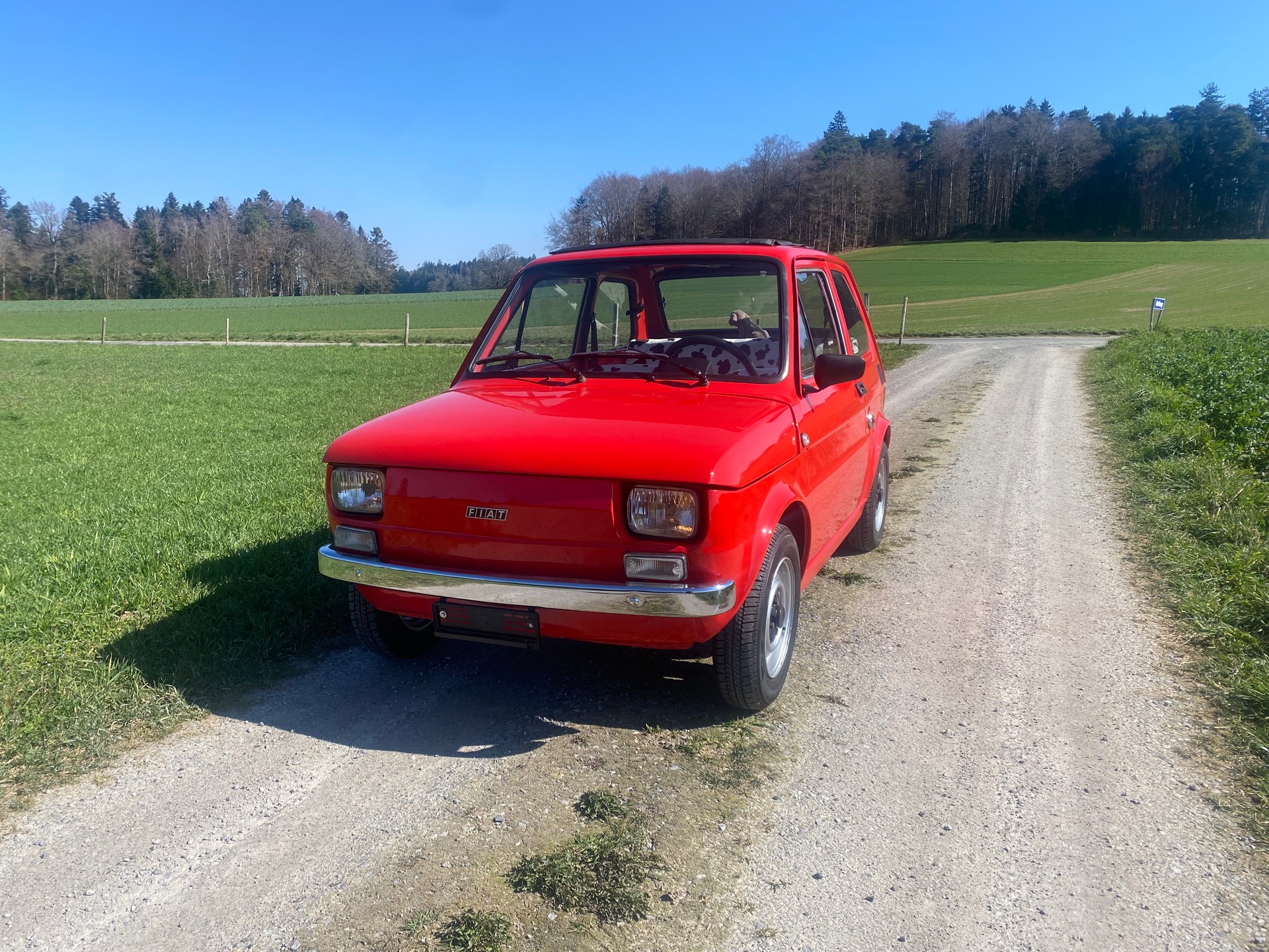 FIAT 126 Bambino, Veteran geprüft-image-2