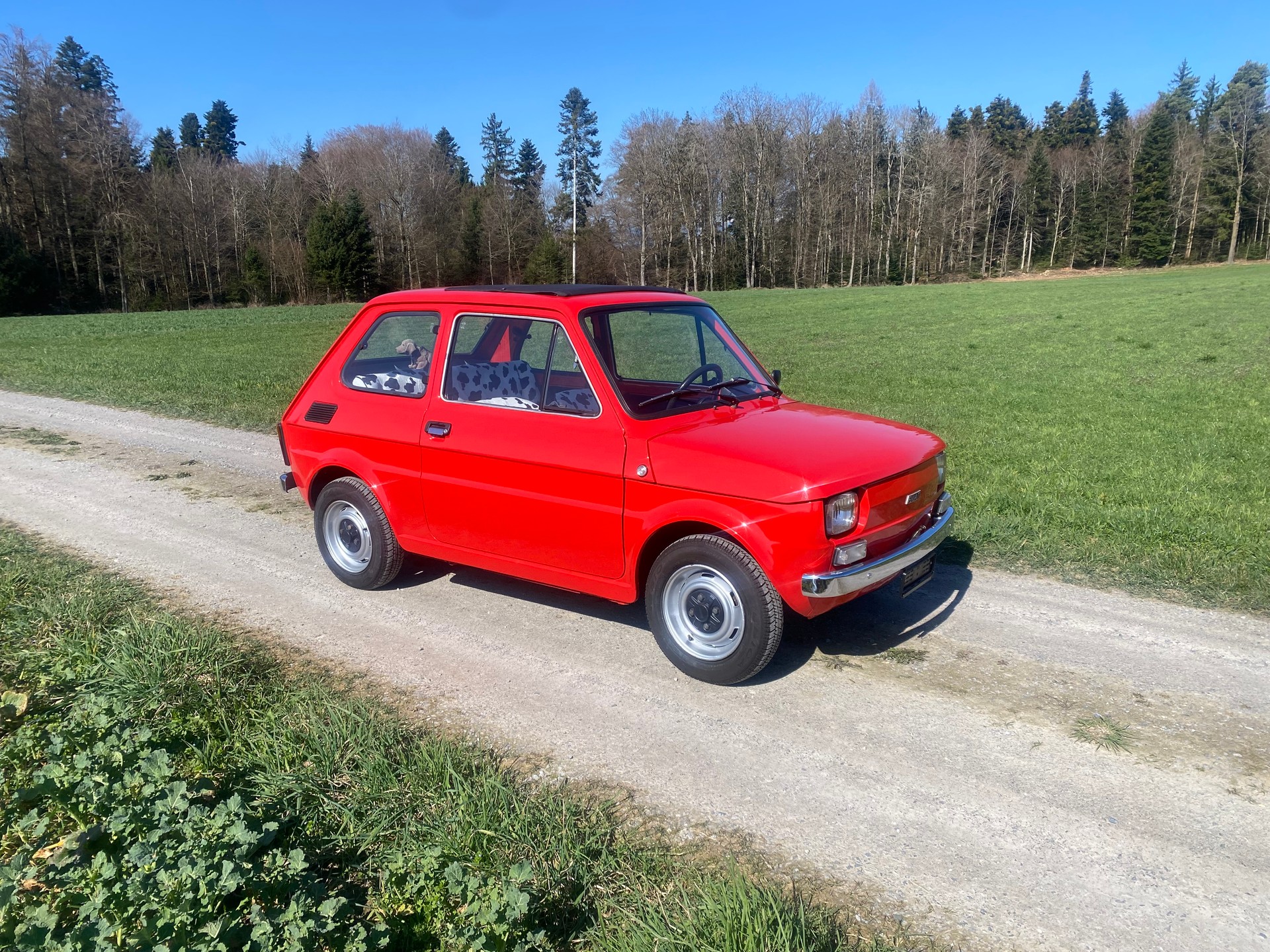 FIAT 126 Bambino, Veteran geprüft-image-8