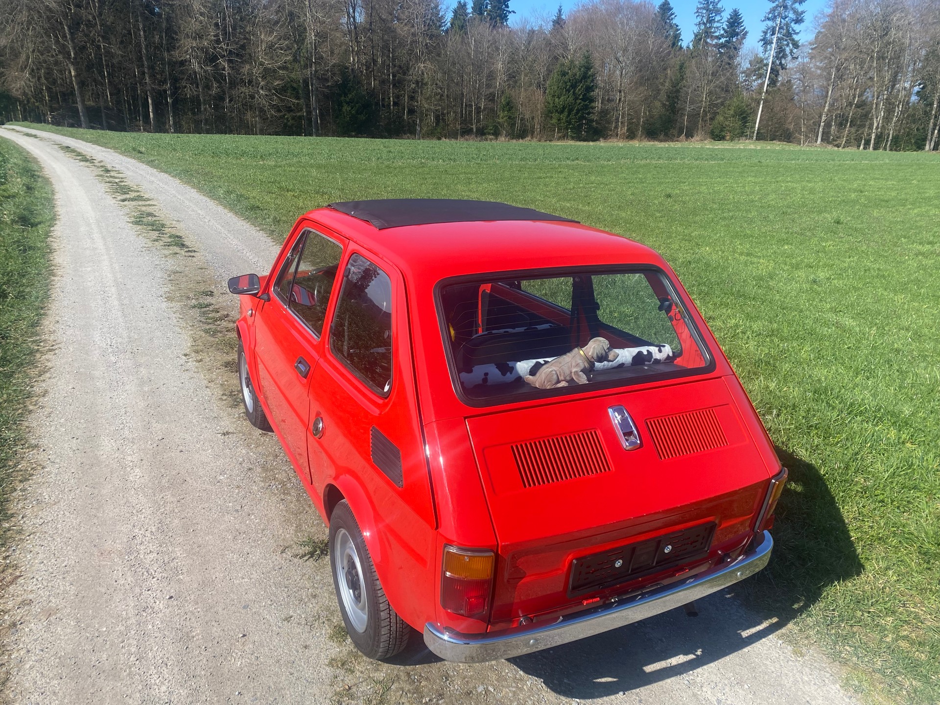 FIAT 126 Bambino, Veteran geprüft-image-3