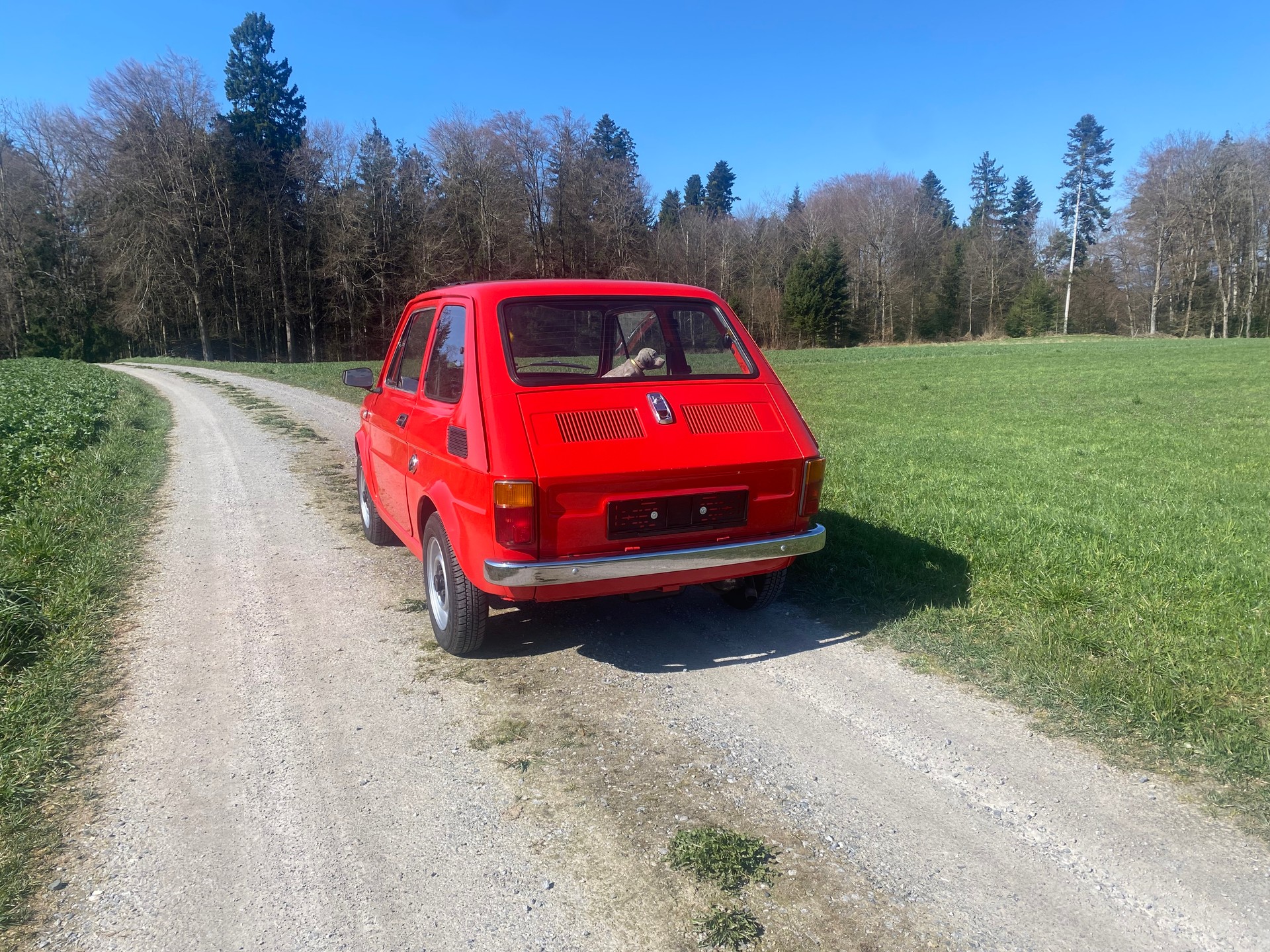 FIAT 126 Bambino, Veteran geprüft-image-3