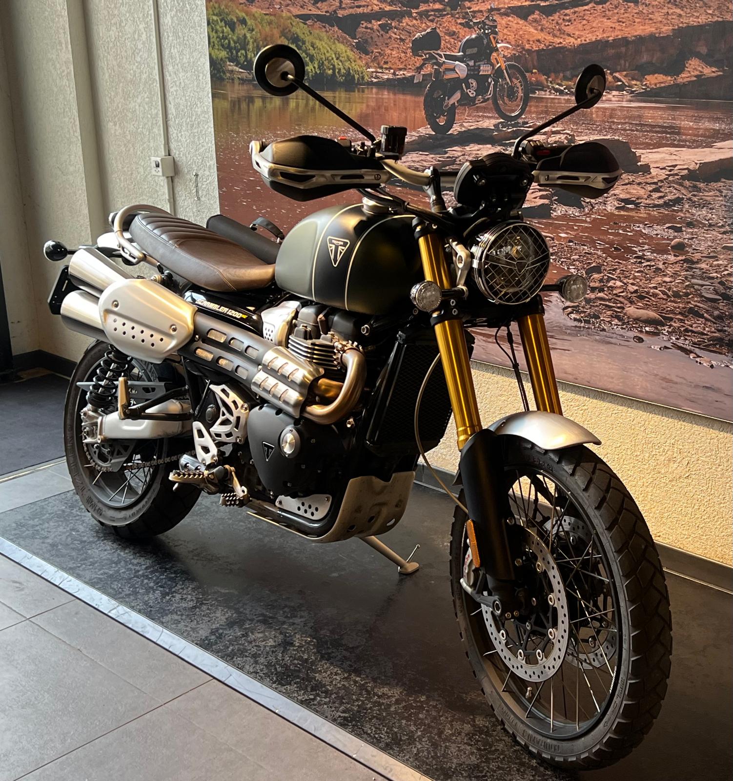 TRIUMPH Scrambler 1200 XE-image-1