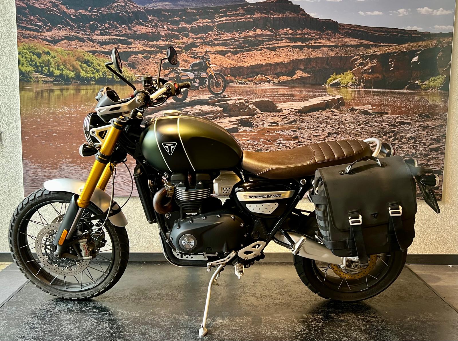 TRIUMPH Scrambler 1200 XE-image-3