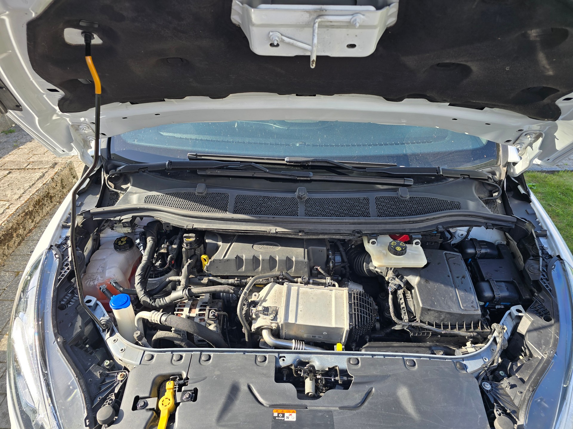 FORD 2.0 TDCi ST-Line AWD Automatic-image-14