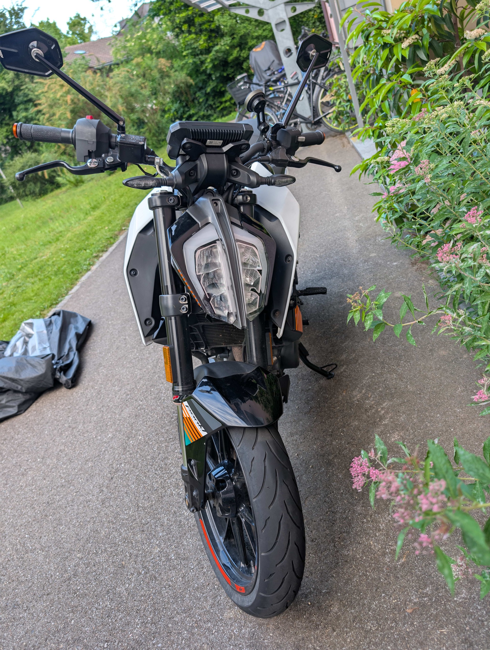 KTM 390 Duke-image-2