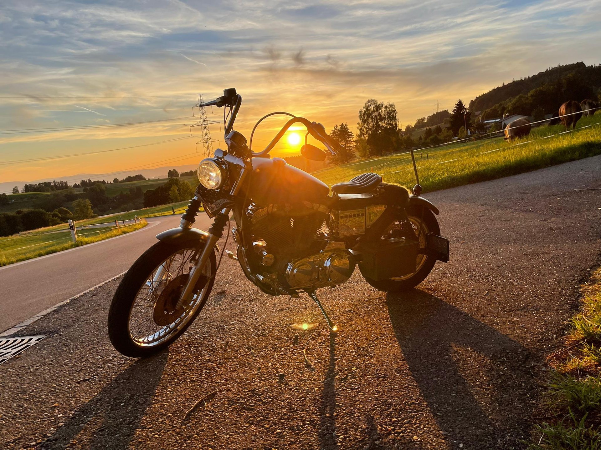 HARLEY-DAVIDSON XL 883 C53 Sportster Custom-image-0