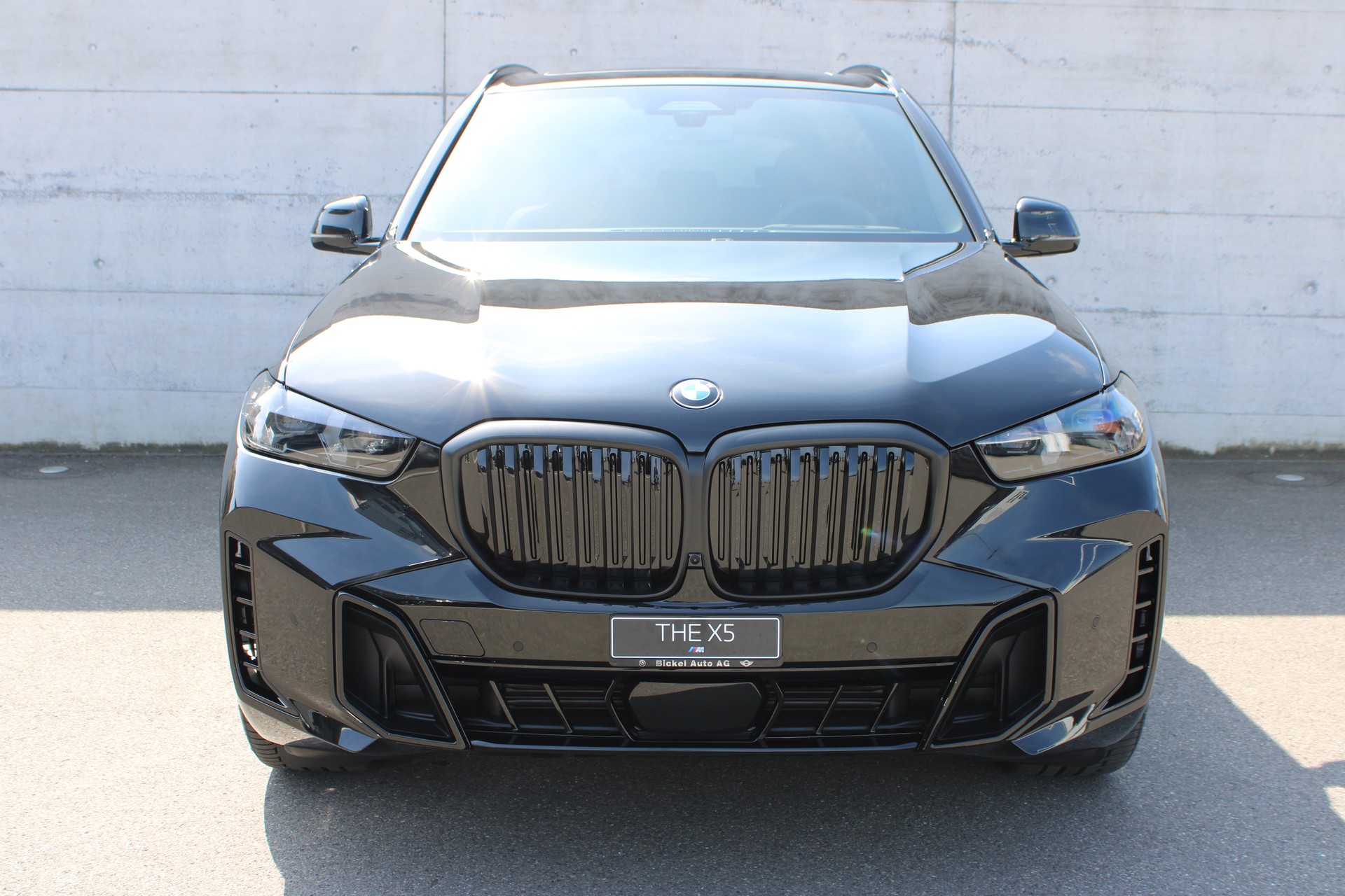 BMW X5 xD 48V 40d M Sport Pro-showroom-element-1