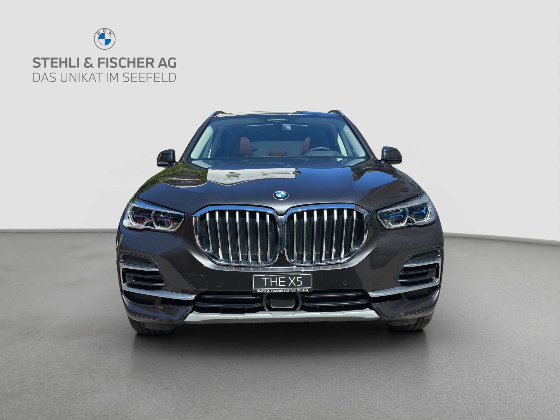 BMW X5 xDrive 48V 40d xLine Steptronic-showroom-element-2
