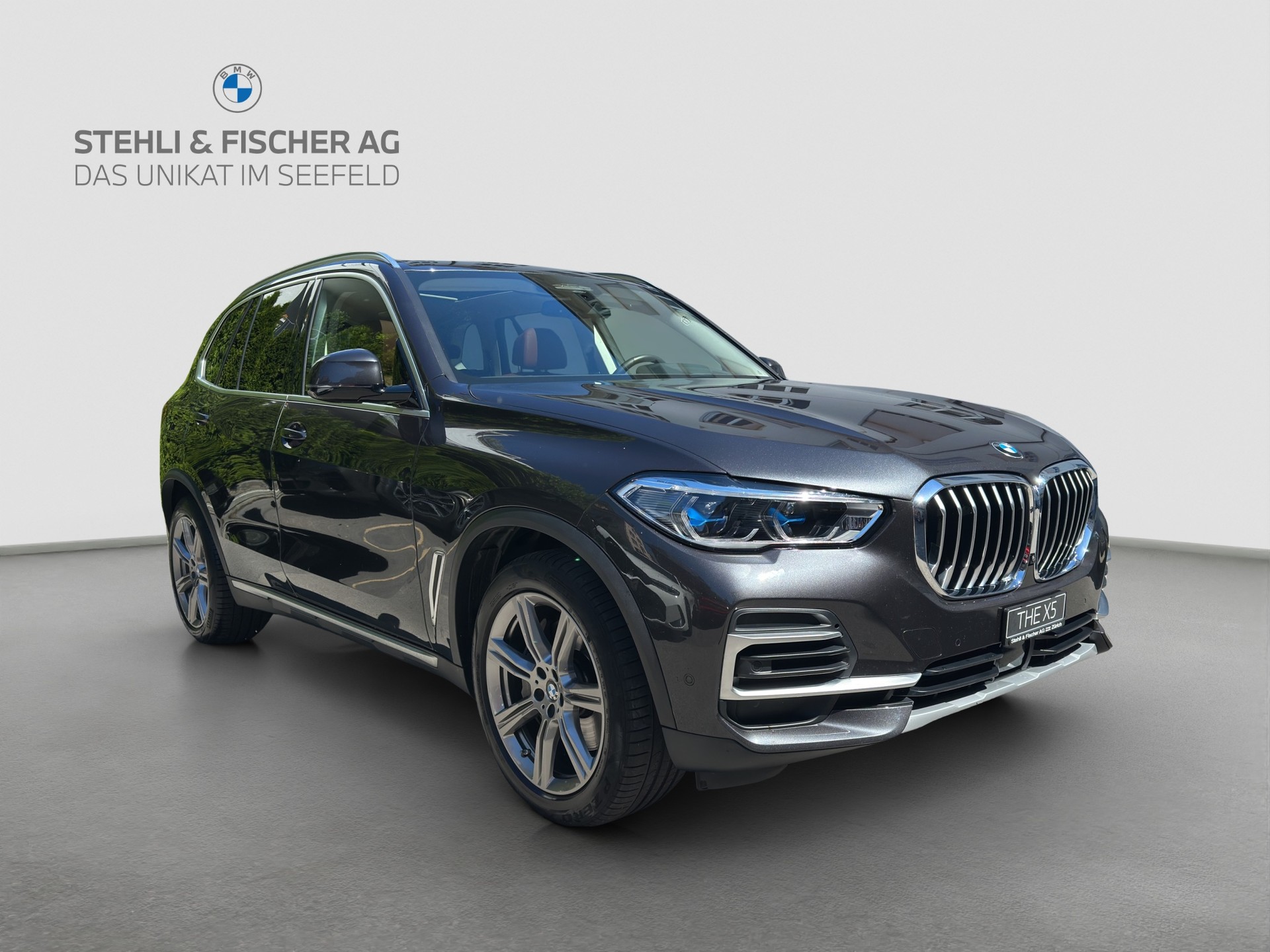BMW X5 xDrive 48V 40d xLine Steptronic-showroom-element-1