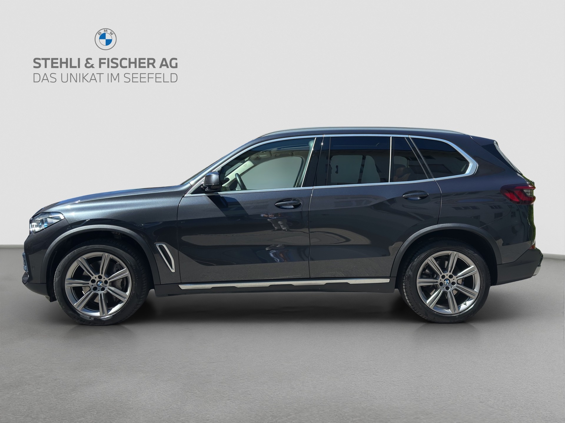 BMW X5 xDrive 48V 40d xLine Steptronic-image-7