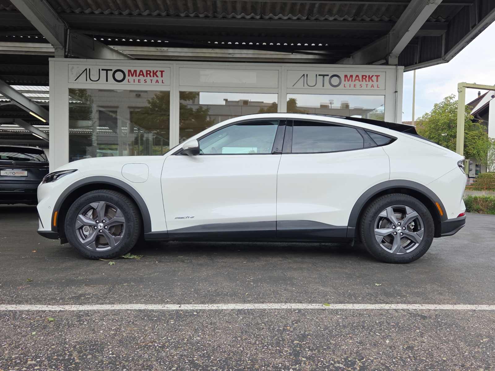 FORD Mustang MACH-E RWD 72.6 kWh-showroom-element-1