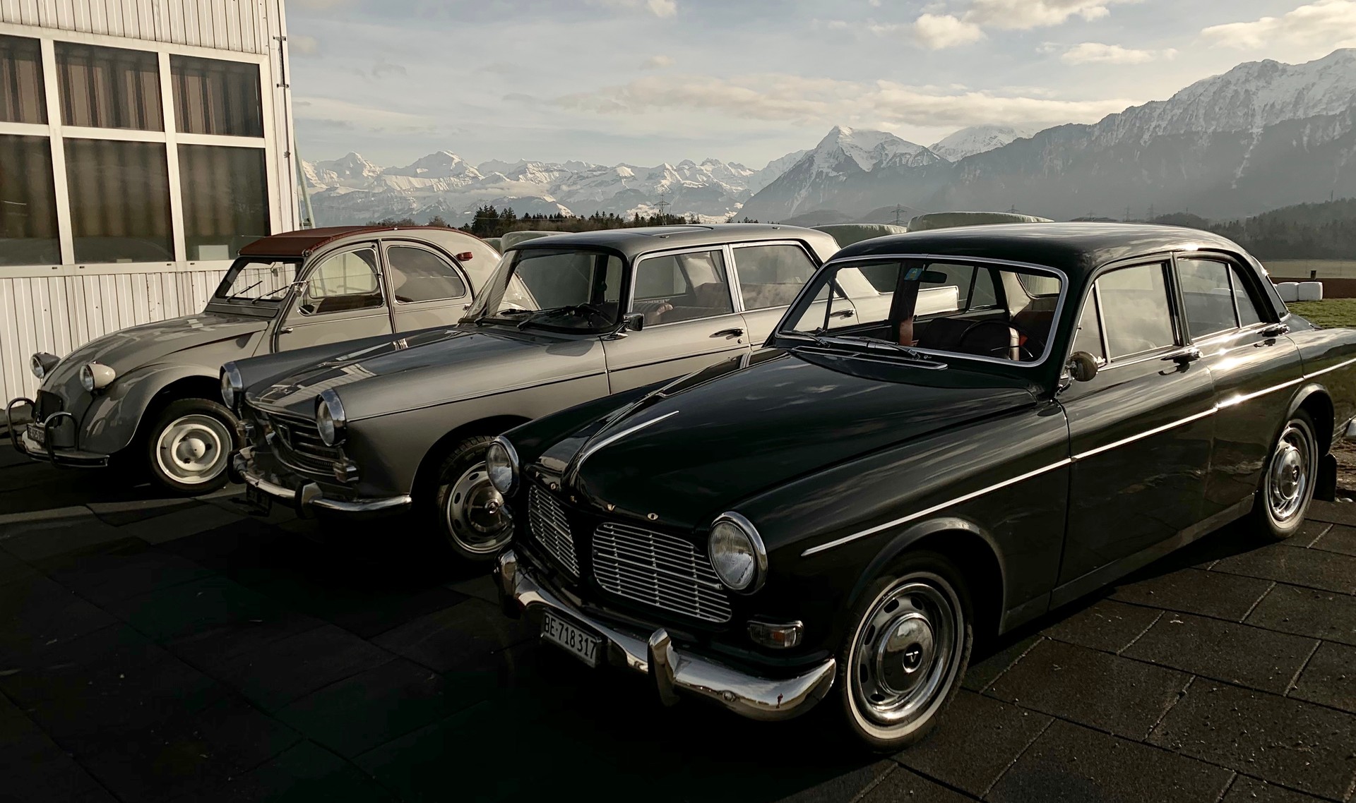 VOLVO AMAZON-image-8