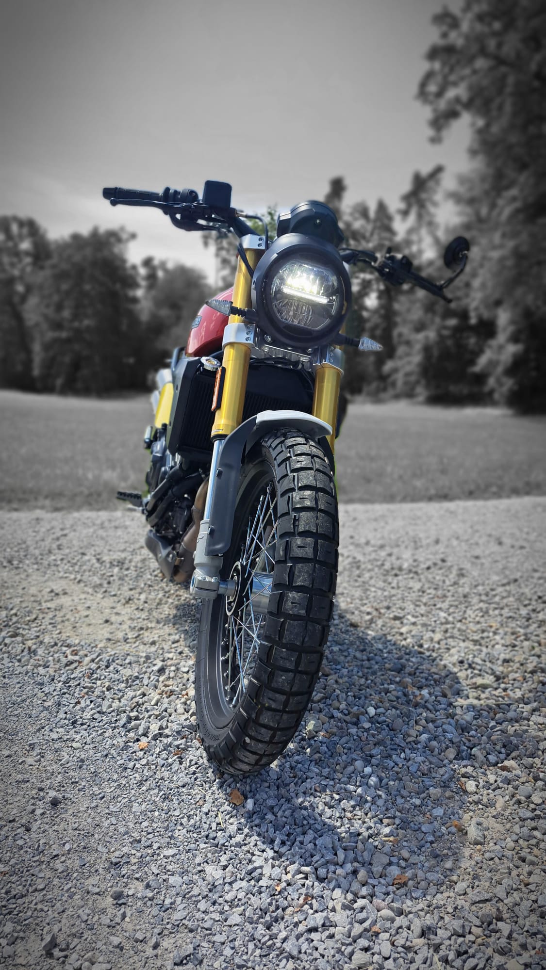 FANTIC Caballero 700-image-2