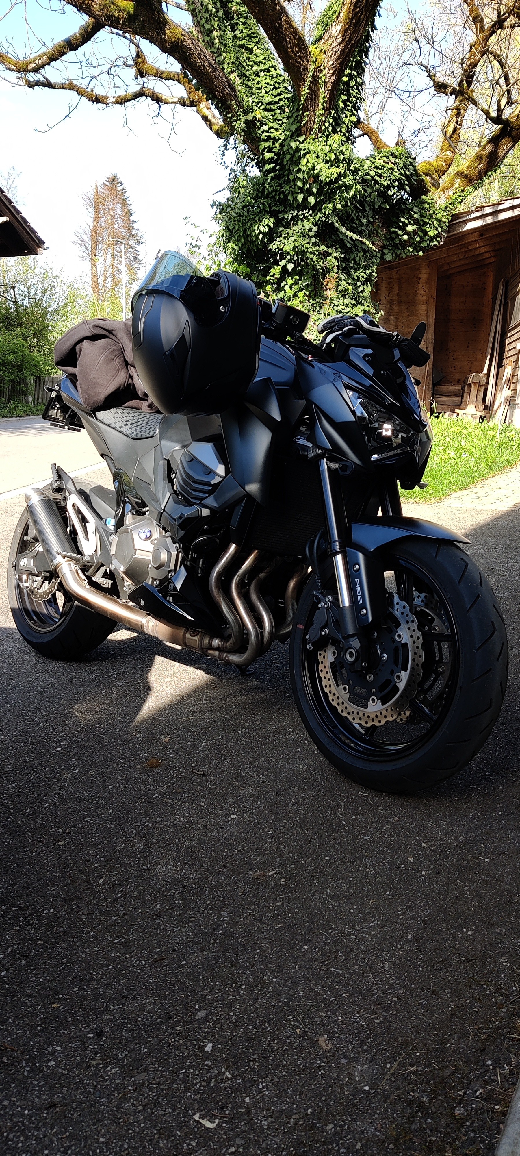 KAWASAKI Z 800 ABS-image-2
