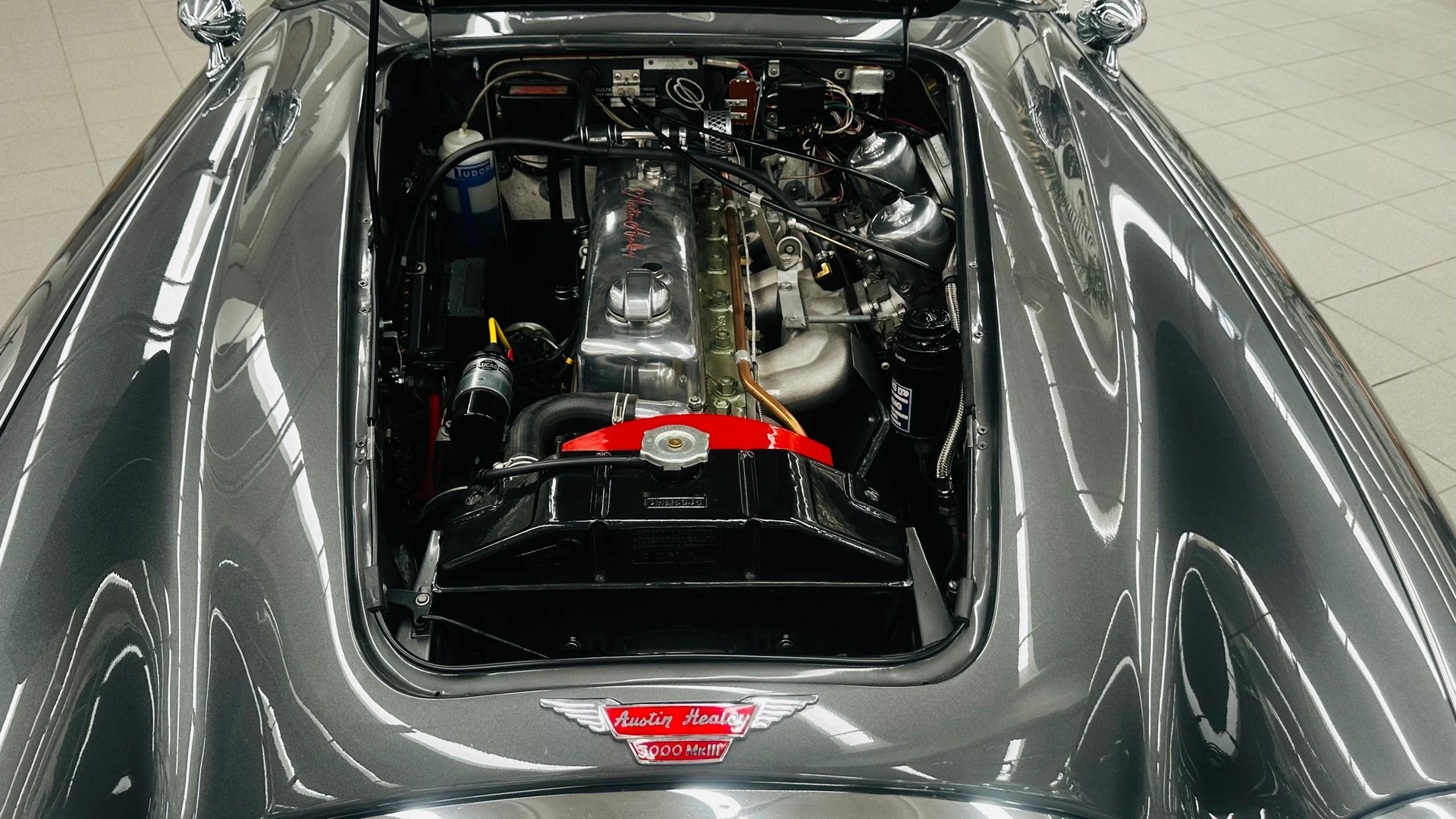 AUSTIN-HEALEY BJ8-image-3