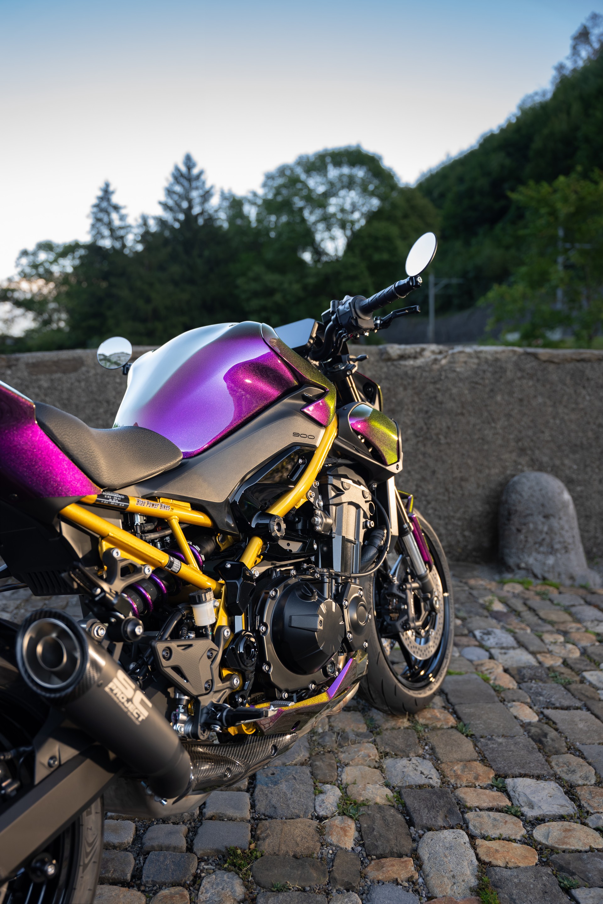 KAWASAKI Z 900 (91 kW) - Sonderumbau Chamäleon-showroom-element-3