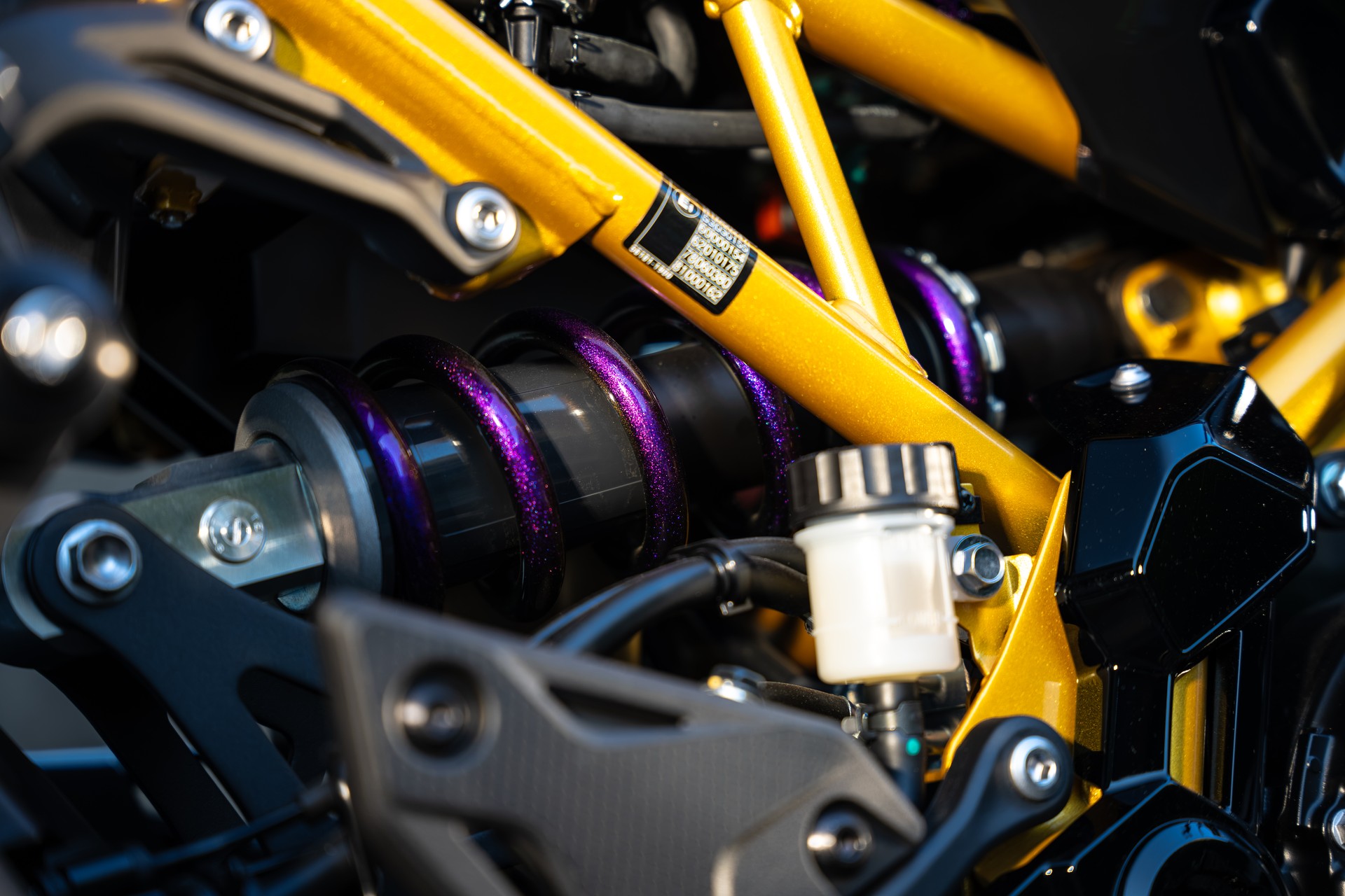 KAWASAKI Z 900 (91 kW) - Sonderumbau Chamäleon-image-9