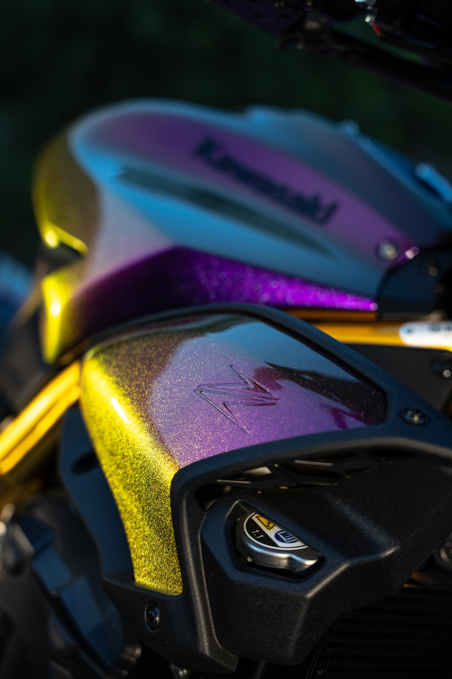 KAWASAKI Z 900 (91 kW) - Sonderumbau Chamäleon-image-6