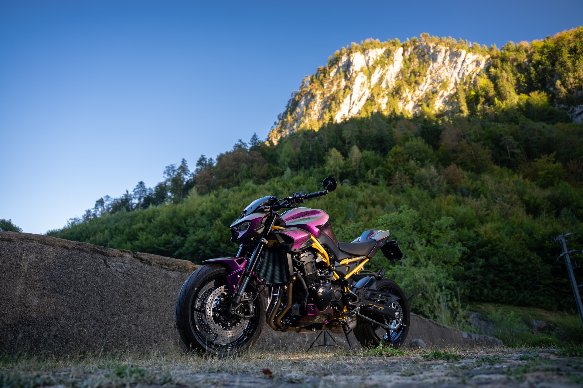 KAWASAKI Z 900 (91 kW) - Sonderumbau Chamäleon-image-15