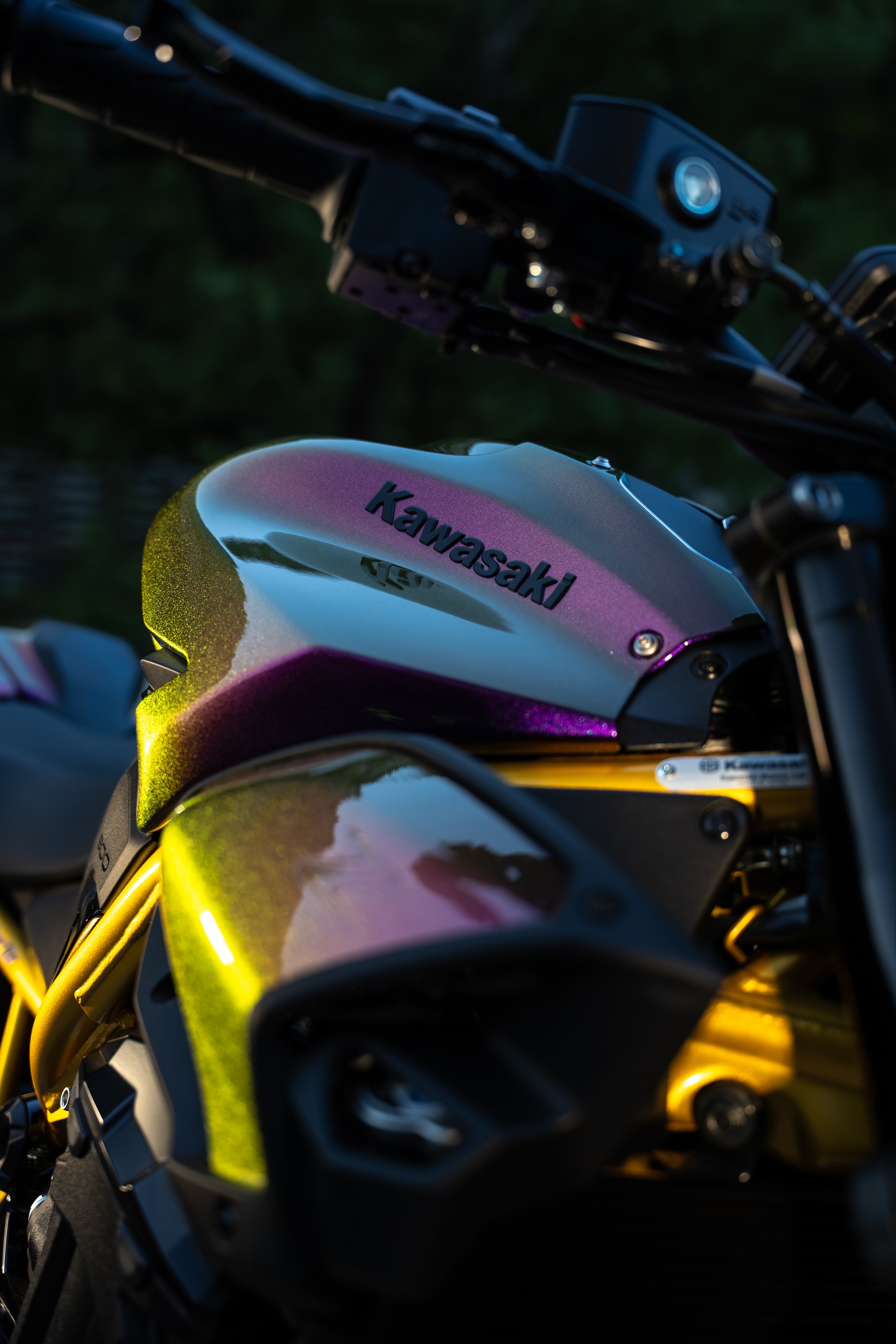 KAWASAKI Z 900 (91 kW) - Sonderumbau Chamäleon-image-7
