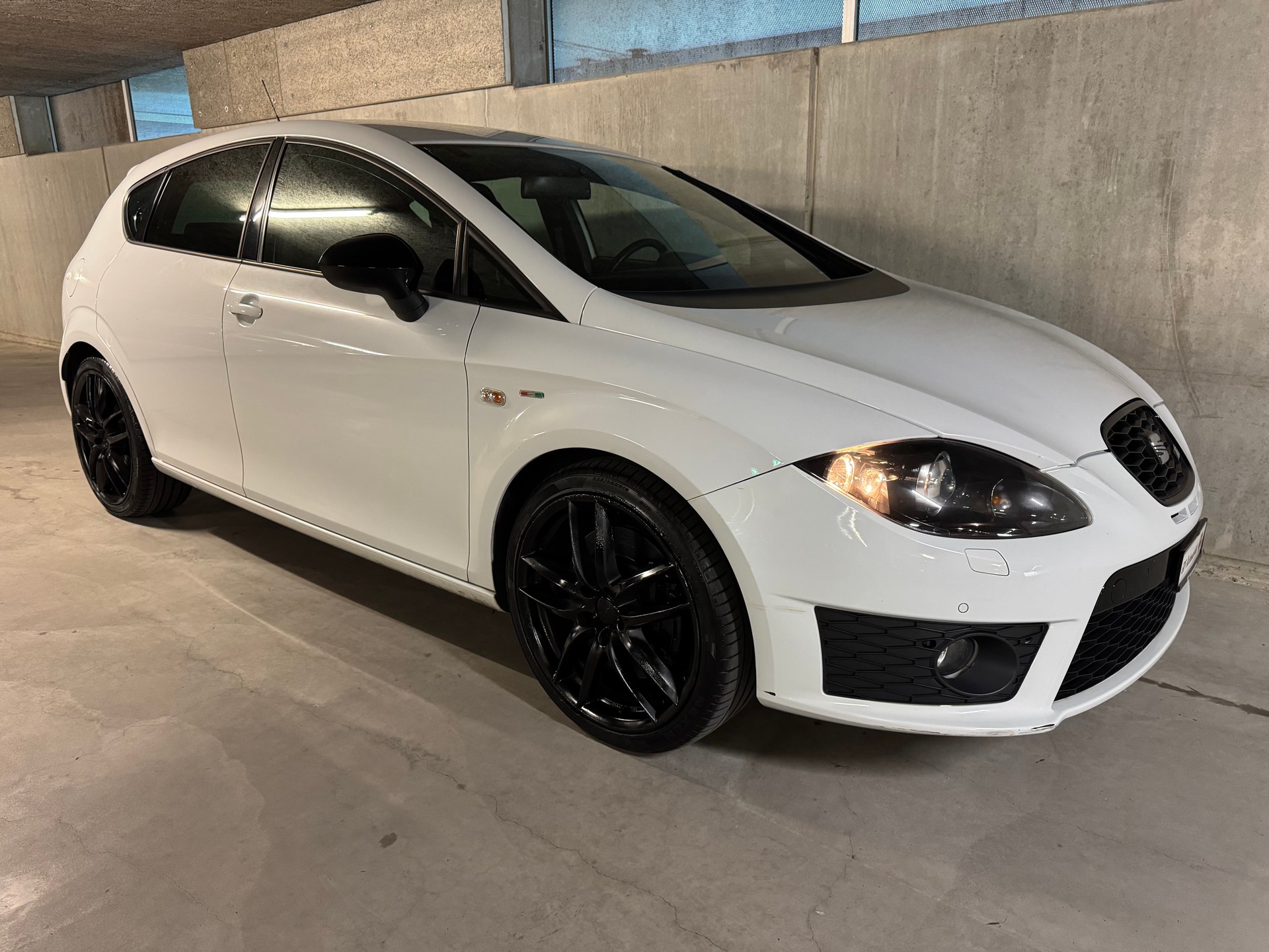 SEAT Leon 2.0 TSI Cupra R310 World Champion Edition-image-10