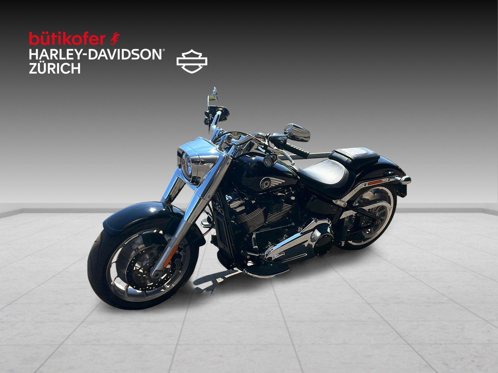 HARLEY-DAVIDSON FLFB Fat Boy 117-image-2