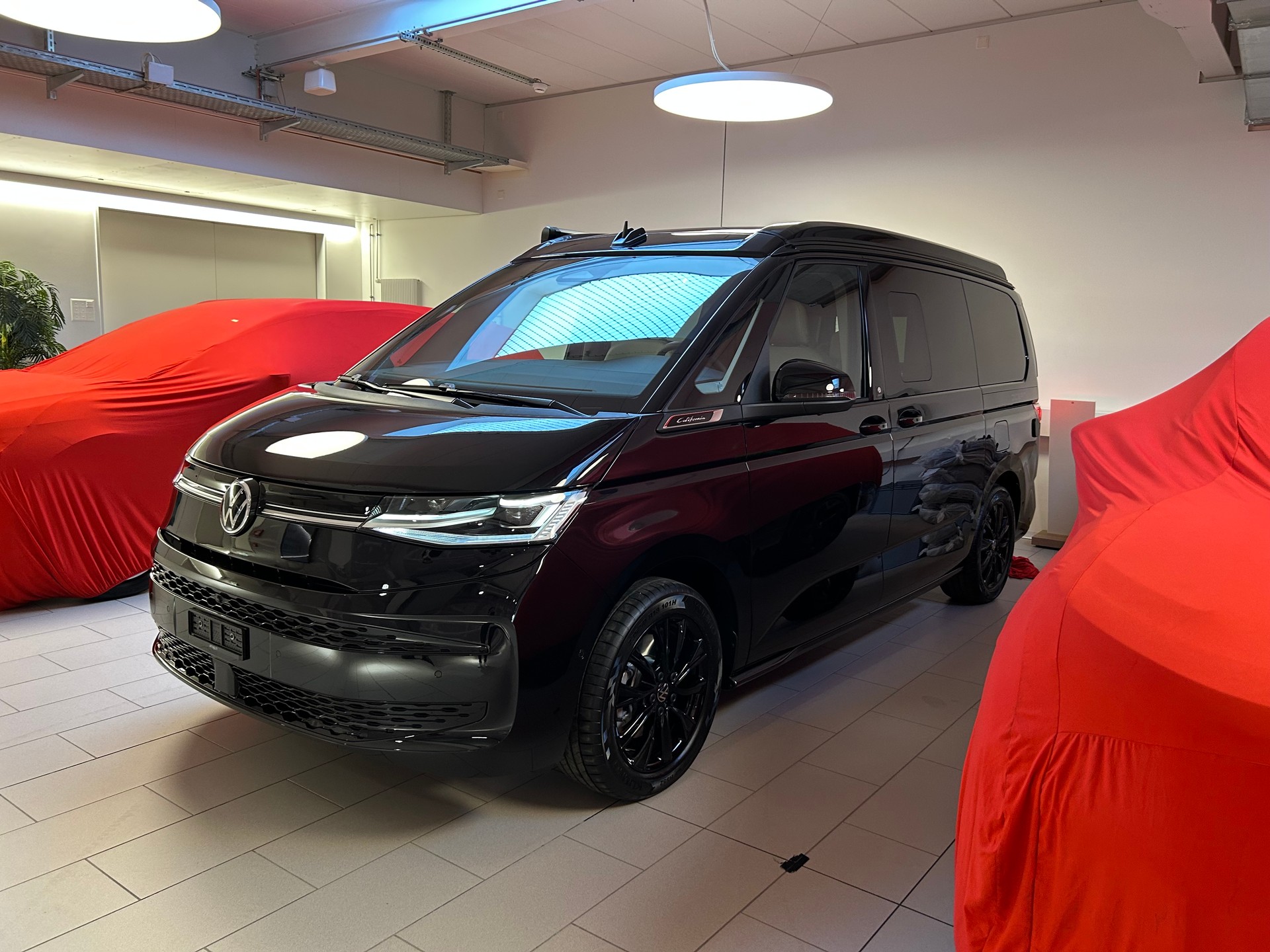 VW Ocean