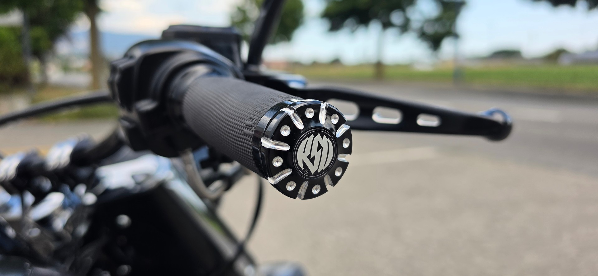 HARLEY-DAVIDSON FLS Softail Slim ABS-image-7