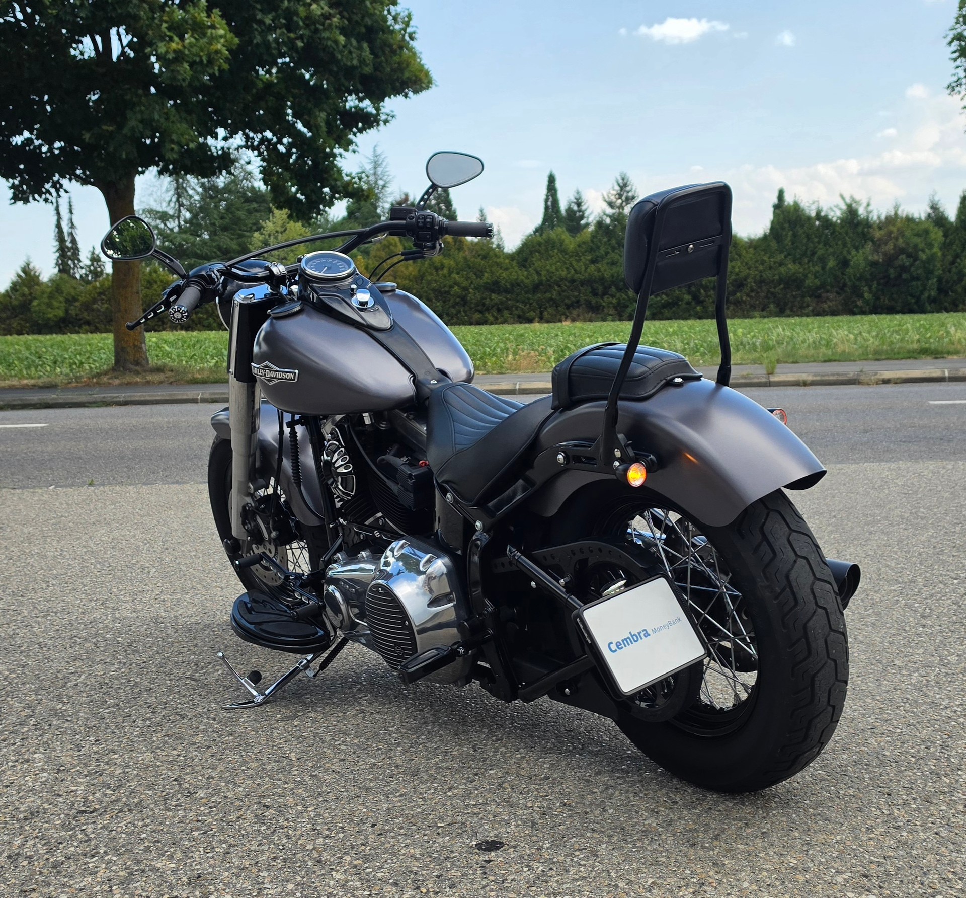 HARLEY-DAVIDSON FLS Softail Slim ABS-showroom-element-3