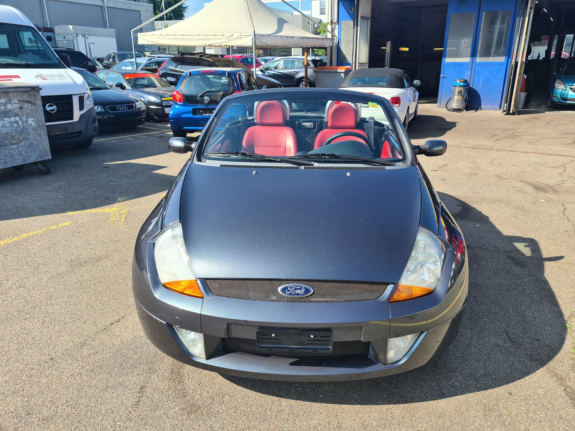 FORD Streetka 1.6 (Luxury)-image-6