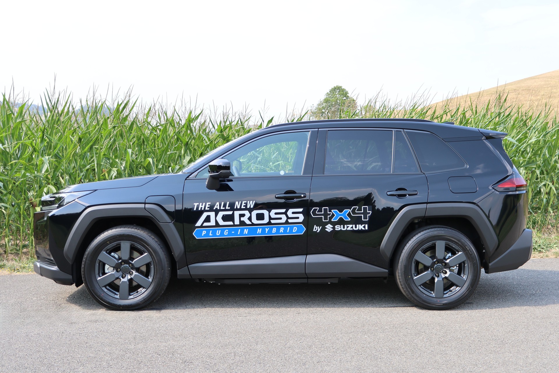SUZUKI Across 2.5 Plug-in-Hybrid Compact Top E-CVT-showroom-element-1